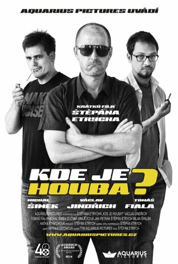 Kde je Houba? (2014)